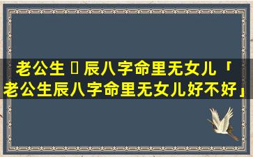 老公生 ☘ 辰八字命里无女儿「老公生辰八字命里无女儿好不好」